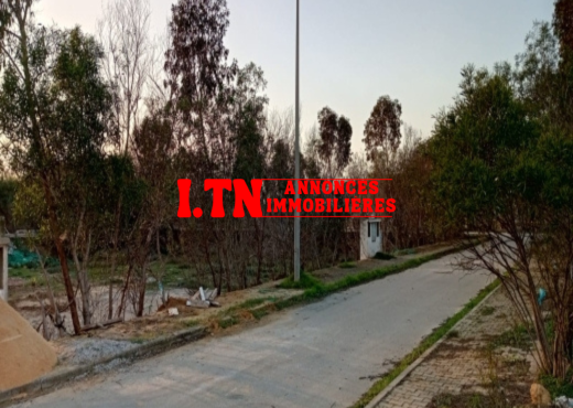 à vendre à lotissement les flamants roses