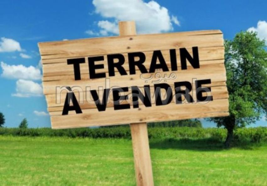 A vendre un terrain à chargiya 1  dans un bel emplacement