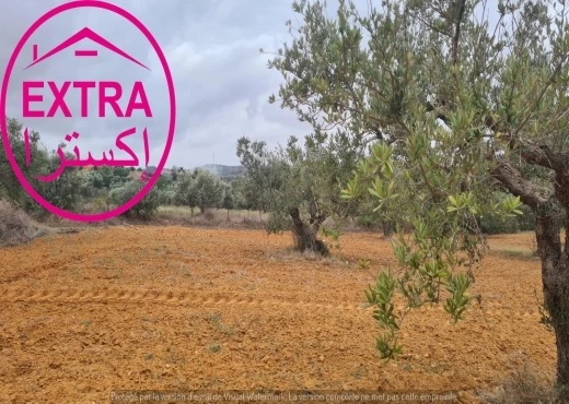 ferme à À Vendre à NABEUL - campagne à ghardaia
