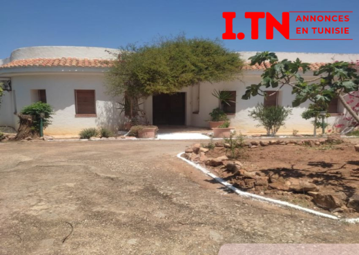 A Vendre Ferme+2 villas SidiThabe