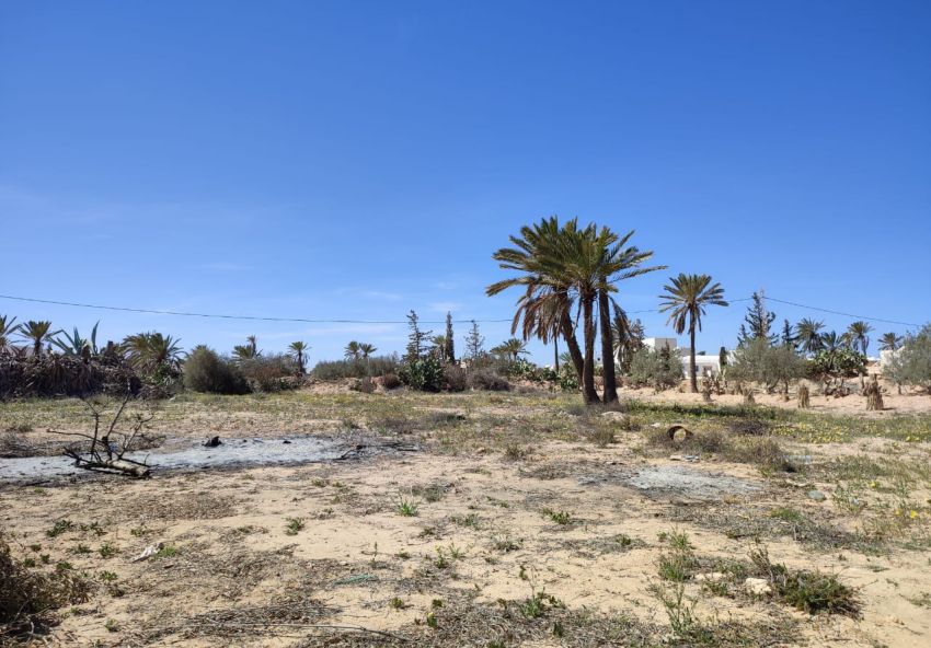 Terrain à vendre à  Djerba Midoun