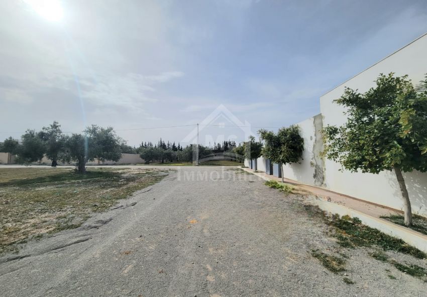 Terrain de 587 m² à vendre à Hammamet Sud 51355351