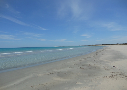 terrain magique a hammam elghezaz