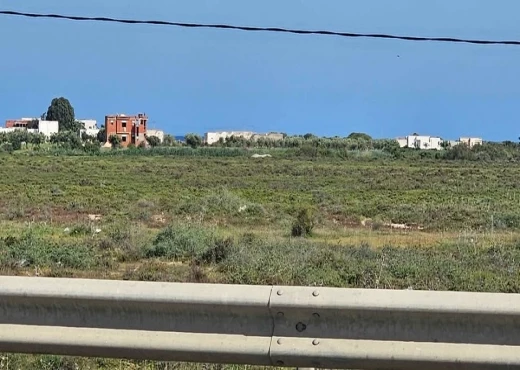 terrain à À Vendre à NABEUL - 300m a klm 71 hammamet sud