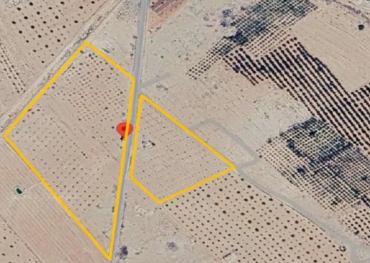 A Vendre Terrain Maknasy Sidi Bouz