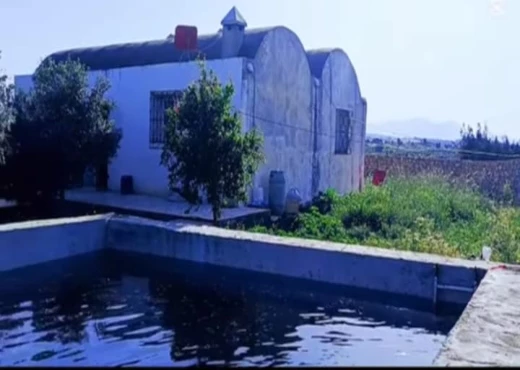 terrain à À Vendre à ZAGHOUAN - terrain agricole à vendre