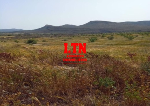 terrain agricole