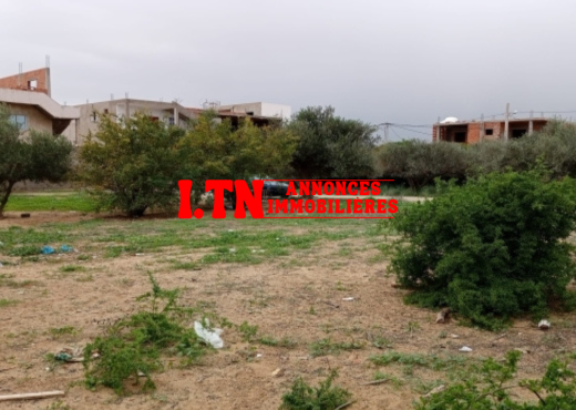 terrain à sidi salah - chotrana 1