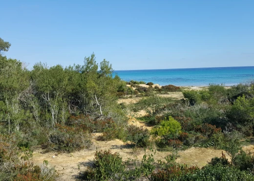 terrain à À Vendre à NABEUL - terrain de 1000m² au cap bon