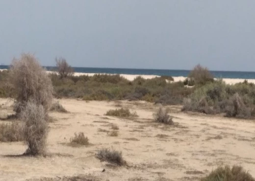 terrain à À Vendre à NABEUL - beau terrain très proche de la mer sud hamammet