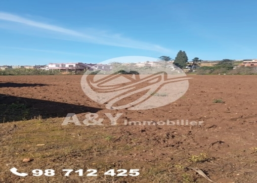 🌿🌳 Terrain agricole à vendre – Gharel Melh 🌳🌿