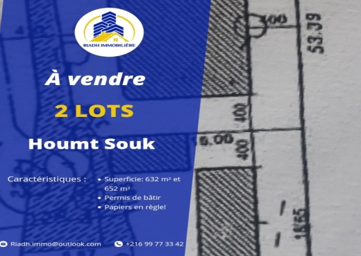 Deux lots à Houmt Souk Djerba