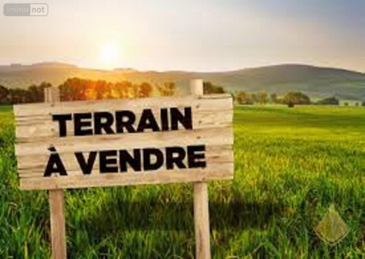 Terrain " latina "