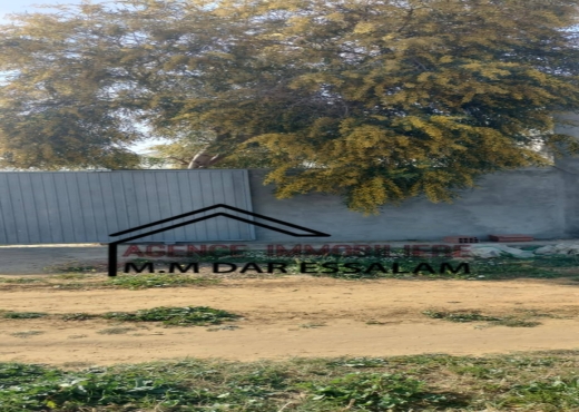 terrain agricole à vendre