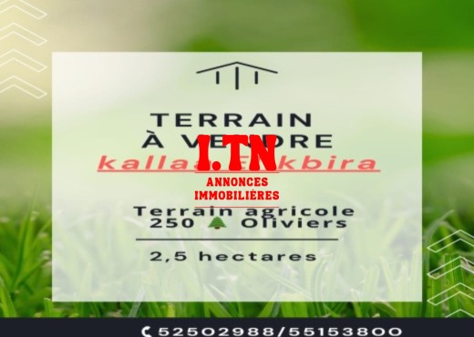 terrain agricole à vendre