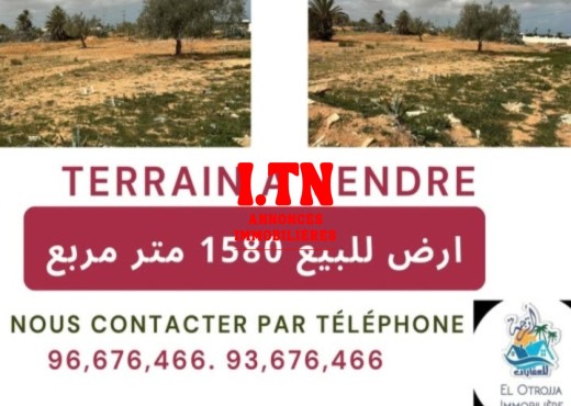 A Vendre Terrain à Djerba