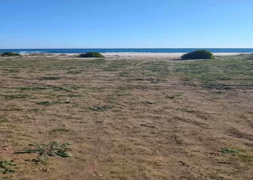 terrain à À Vendre à NABEUL - Un hectare a hammem elghzéz