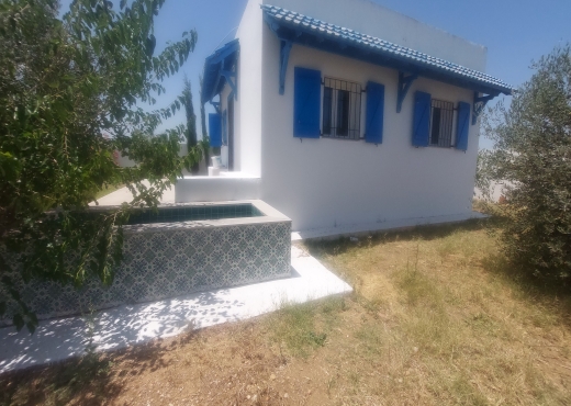 Maison a vendre