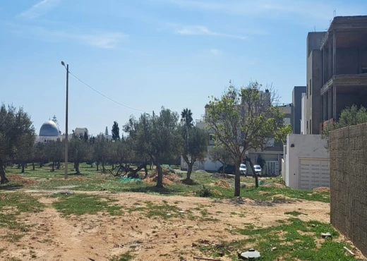 maison à À Vendre à NABEUL - un lot de terrain rectangulaire de 220m²