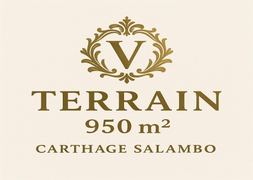 A Vendre Terrain Carthage Salambo