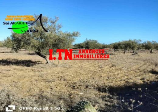 A Vendre Terrain à Hergla