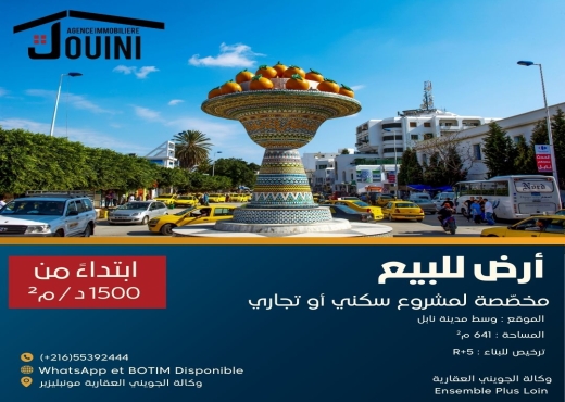 Terrain 641 m² Pour Promotion Immo