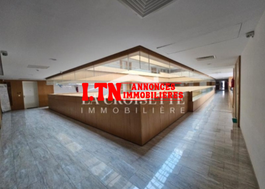 Bureau H+1 aux Jardins de Carthage