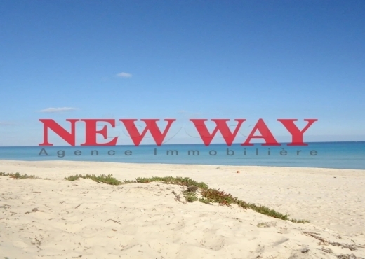 (S+1) à Chatt Mariem Directe promoteur