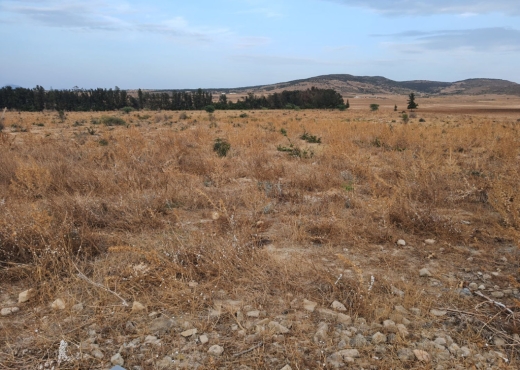 À vendre : terrain agricole de 2 h