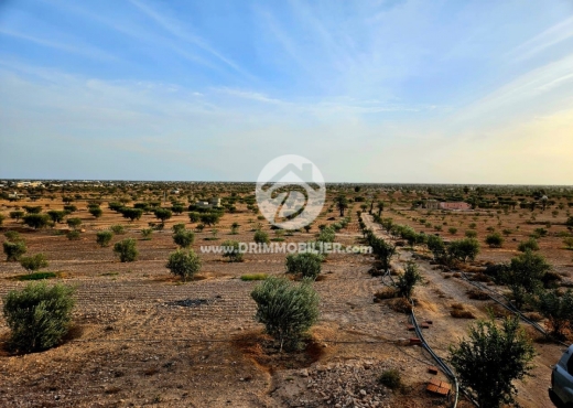 A Vendre Terrain à Djerba Ajim