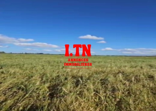 terrain agricole