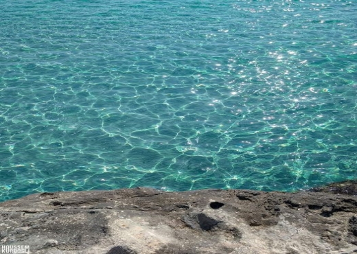 Terrain de Rêve en Bord de Mer