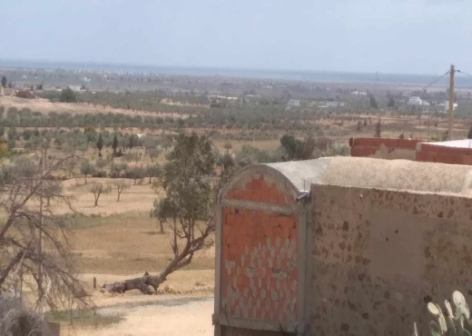 ferme à À Vendre à NABEUL - une ferme de 5 hectars  avec maison  A bouficha