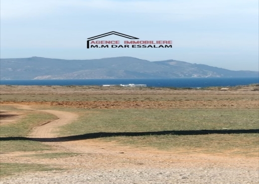 terrain près de la mer