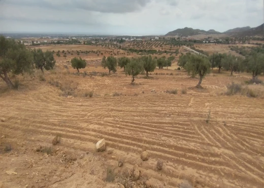 terrain à À Vendre à NABEUL - Av 4 hectare a bouficha