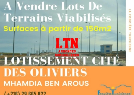 A Vendre Terrain Habitation Mhamdi