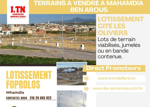 A Vendre Terrain Commercial Mhamdi