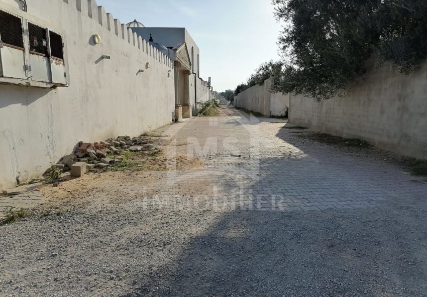 Terrain de 1000 m² à vendre à Hammamet 51355351