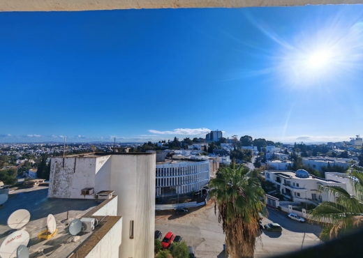 Vue imprenable sur Tunis