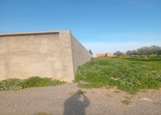 للبيع قطعة أرض في السعيدة-وادي الليل