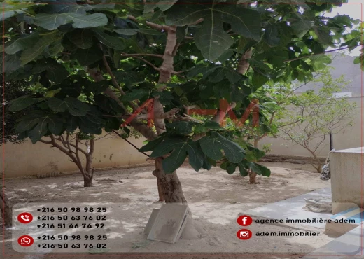 maison À Vendre à SOUSSE - A VENDRE: 🏠Maison de deux étages - Immobiliere.tn - Photo 9