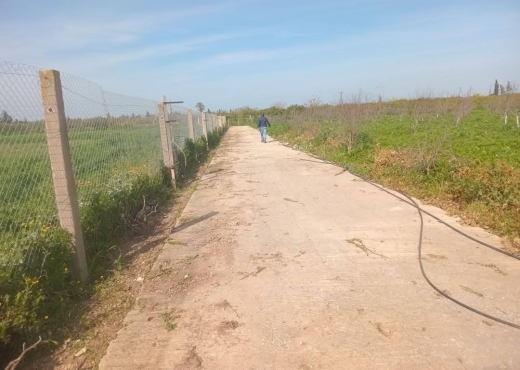 للبيع فيرمة لوز و زيتون و غلال أخرى