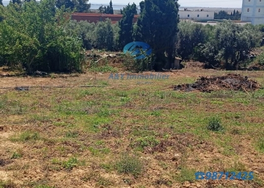 Maison spacieuse avec grand terrain 🌳🍋