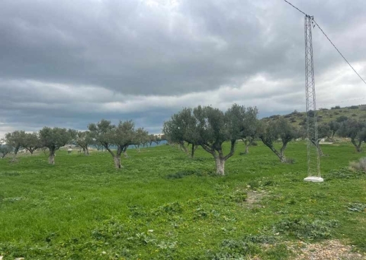 terrain agricole