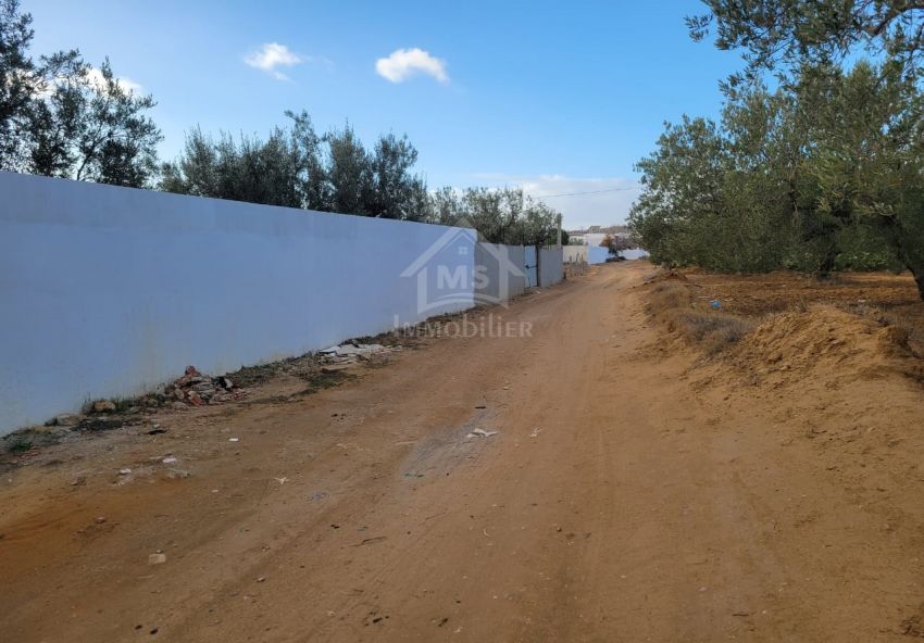 Terrain de 1800 m² à vendre à Hammamet Sud 51355351