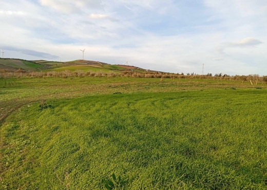 🌿 Terrain à vendre à Ras El Jebel – Bizerte 🌿