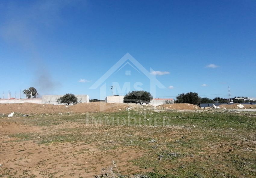 Lot de terrain à vendre à Hammamet à 55 MD 51355351