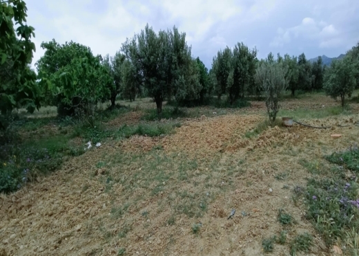 terrain agricole