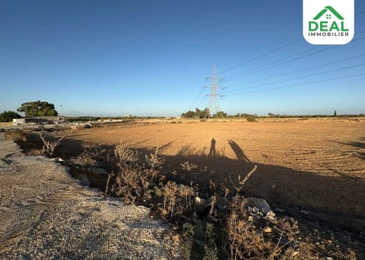 ferme À Vendre à SOUSSE - Opportunité d’investissement à vendre - Immobiliere.tn - Photo 7