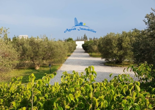 Villa Fairouz